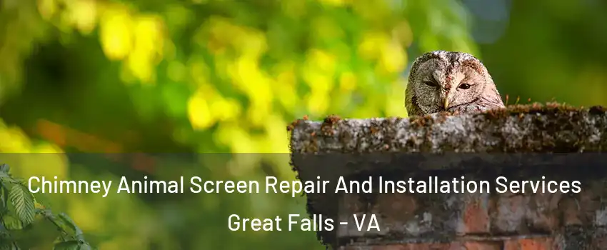  Chimney Animal Screen Repair And Installation Services Great Falls - VA
