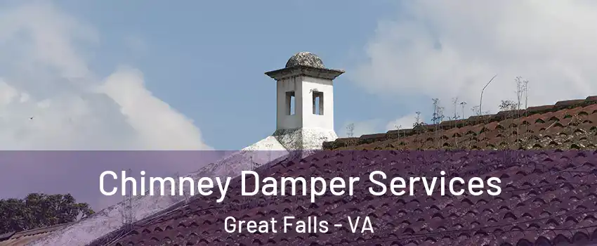  Chimney Damper Services Great Falls - VA