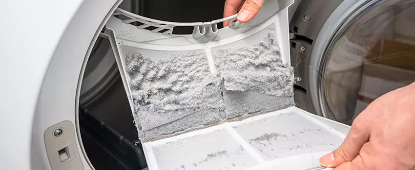Best Dryer Lint Removal Company in Great Falls, Virginia