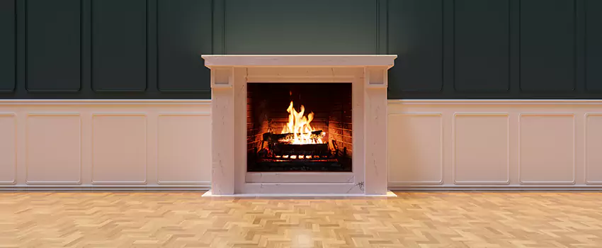 Napoleon Electric Fireplaces Inspection Service in Great Falls, Virginia