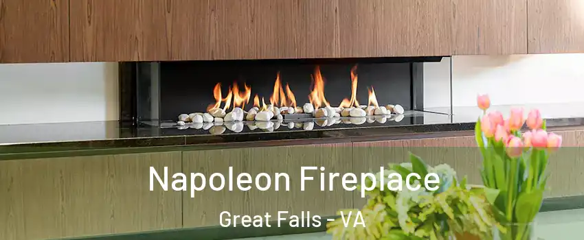  Napoleon Fireplace Great Falls - VA